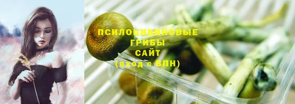 шишки Надым