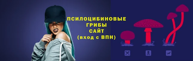 наркотики Алзамай