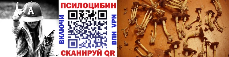 Псилоцибиновые грибы Cubensis  Фатеж 