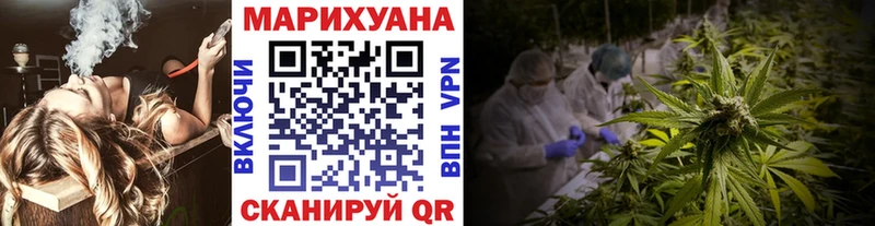 где найти наркотики  Фатеж  Каннабис THC 21% 